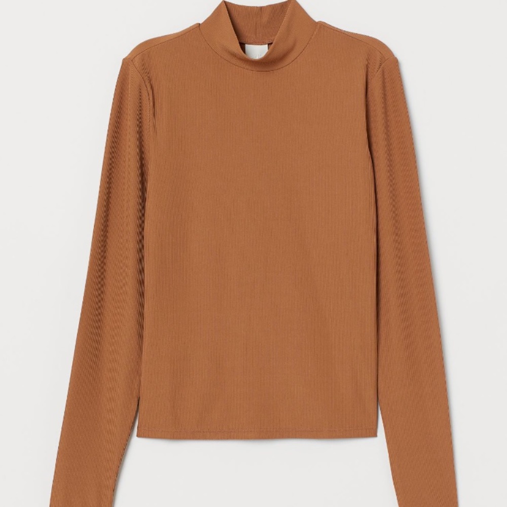 Fitted ribbed turtleneck
